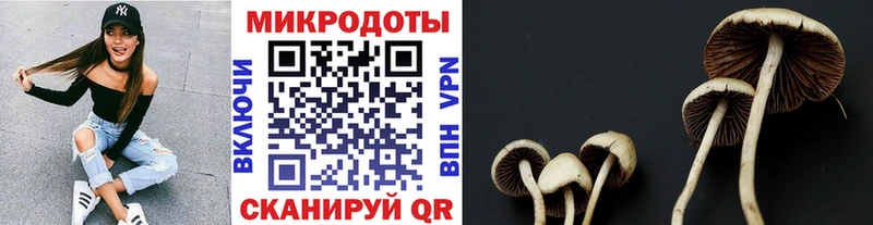 Псилоцибиновые грибы GOLDEN TEACHER  цены   Бодайбо 
